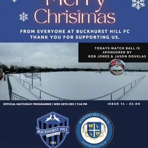 Digital Programme Issue 14 - Woodford Town