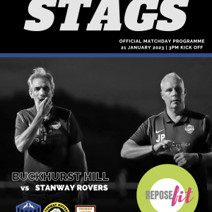 Digital Programme Issue 17 - Stanway Rovers